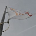 Klaar